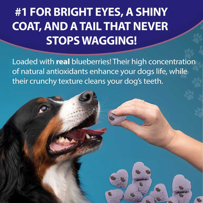 VitaGravy®️ Blueberry Antioxidant Dog Treats